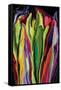 flowers of Eden 7-Rabi Khan-Framed Stretched Canvas