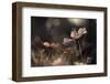 Flowers of innocence-Fabien BRAVIN-Framed Photographic Print