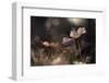 Flowers of innocence-Fabien BRAVIN-Framed Photographic Print