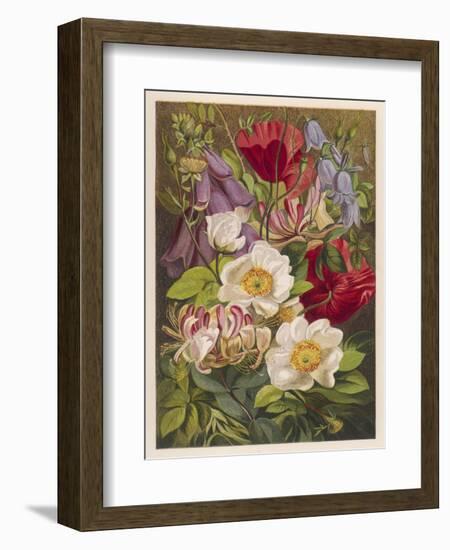 Flowers of July and August-null-Framed Art Print