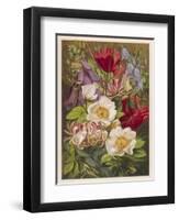 Flowers of July and August-null-Framed Art Print