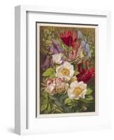 Flowers of July and August-null-Framed Art Print