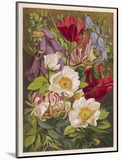 Flowers of July and August-null-Mounted Art Print