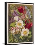 Flowers of July and August-null-Framed Stretched Canvas