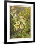 Flowers of March and April: Viola-null-Framed Art Print