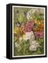 Flowers of May and June: Viola Tricolor-null-Framed Stretched Canvas