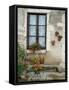 Flowers of Private Home, Burgundy, France-Lisa S. Engelbrecht-Framed Stretched Canvas