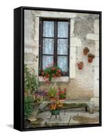 Flowers of Private Home, Burgundy, France-Lisa S. Engelbrecht-Framed Stretched Canvas