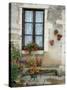 Flowers of Private Home, Burgundy, France-Lisa S. Engelbrecht-Stretched Canvas