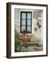 Flowers of Private Home, Burgundy, France-Lisa S. Engelbrecht-Framed Photographic Print