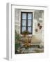 Flowers of Private Home, Burgundy, France-Lisa S. Engelbrecht-Framed Photographic Print