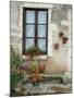 Flowers of Private Home, Burgundy, France-Lisa S. Engelbrecht-Mounted Photographic Print