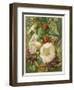 Flowers of September and October: Crataegus-null-Framed Art Print