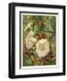 Flowers of September and October: Crataegus-null-Framed Art Print