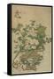 Flowers of the Four Seasons, Qing dynasty, 18th-19th century-Chinese School-Framed Stretched Canvas