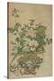 Flowers of the Four Seasons, Qing dynasty, 18th-19th century-Chinese School-Stretched Canvas