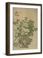 Flowers of the Four Seasons, Qing dynasty, 18th-19th century-Chinese School-Framed Giclee Print