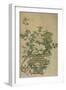 Flowers of the Four Seasons, Qing dynasty, 18th-19th century-Chinese School-Framed Giclee Print