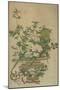 Flowers of the Four Seasons, Qing dynasty, 18th-19th century-Chinese School-Mounted Giclee Print