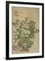 Flowers of the Four Seasons, Qing dynasty, 18th-19th century-Chinese School-Framed Giclee Print