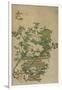 Flowers of the Four Seasons, Qing dynasty, 18th-19th century-Chinese School-Framed Giclee Print