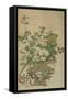 Flowers of the Four Seasons, Qing dynasty, 18th-19th century-Chinese School-Framed Stretched Canvas