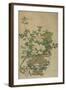 Flowers of the Four Seasons, Qing dynasty, 18th-19th century-Chinese School-Framed Giclee Print