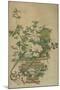 Flowers of the Four Seasons, Qing dynasty, 18th-19th century-Chinese School-Mounted Giclee Print