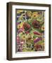 Flowers of the Sun-Rosalie Bullock-Framed Giclee Print