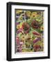 Flowers of the Sun-Rosalie Bullock-Framed Giclee Print