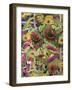 Flowers of the Sun-Rosalie Bullock-Framed Giclee Print