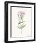 Flowers of the Wild II Pastel-Katrina Pete-Framed Art Print