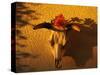 Flowers on a Cattle Skull-James Randklev-Stretched Canvas