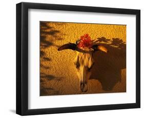 Flowers on a Cattle Skull-James Randklev-Framed Photographic Print