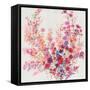 Flowers on a Vine II-Tim OToole-Framed Stretched Canvas