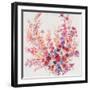 Flowers on a Vine II-Tim OToole-Framed Art Print