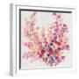 Flowers on a Vine II-Tim OToole-Framed Art Print