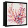 Flowers on a Vine II-Tim OToole-Framed Stretched Canvas