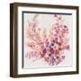 Flowers on a Vine II-Tim OToole-Framed Art Print