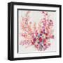 Flowers on a Vine II-Tim OToole-Framed Art Print