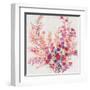 Flowers on a Vine II-Tim OToole-Framed Art Print