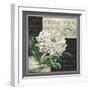 Flowers on B&W II-Abby White-Framed Art Print