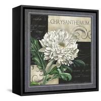 Flowers on B&W II-Abby White-Framed Stretched Canvas