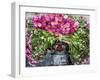 Flowers on Back of Motorcycle, Market, Mandalay, Myanmar (Burma)-Peter Adams-Framed Photographic Print