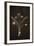 Flowers on Blackboard-Anjo Kan-Framed Photographic Print