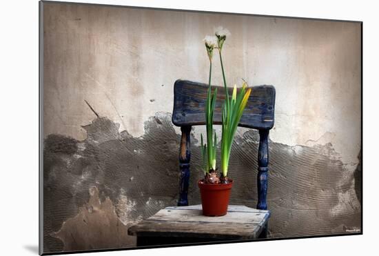 Flowers (On Chair) Art Poster Print-null-Mounted Poster