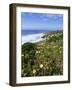 Flowers on Cliff Top, Monte Clerigo, Costa Vincente, Algarve, Portugal-Neale Clarke-Framed Photographic Print