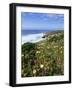 Flowers on Cliff Top, Monte Clerigo, Costa Vincente, Algarve, Portugal-Neale Clarke-Framed Photographic Print