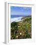 Flowers on Cliff Top, Monte Clerigo, Costa Vincente, Algarve, Portugal-Neale Clarke-Framed Photographic Print