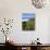 Flowers on Cliff Top, Monte Clerigo, Costa Vincente, Algarve, Portugal-Neale Clarke-Photographic Print displayed on a wall